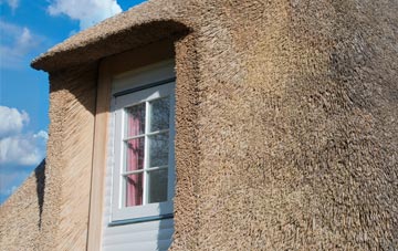 Larbert thatch roof disadvantages
